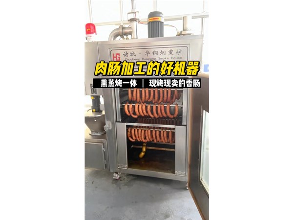 熟食店用小型熏蒸烤一體爐