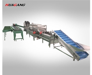 自動化水果類清洗風干稱重分選流水線