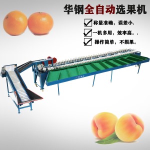 大果盤稱重分選機